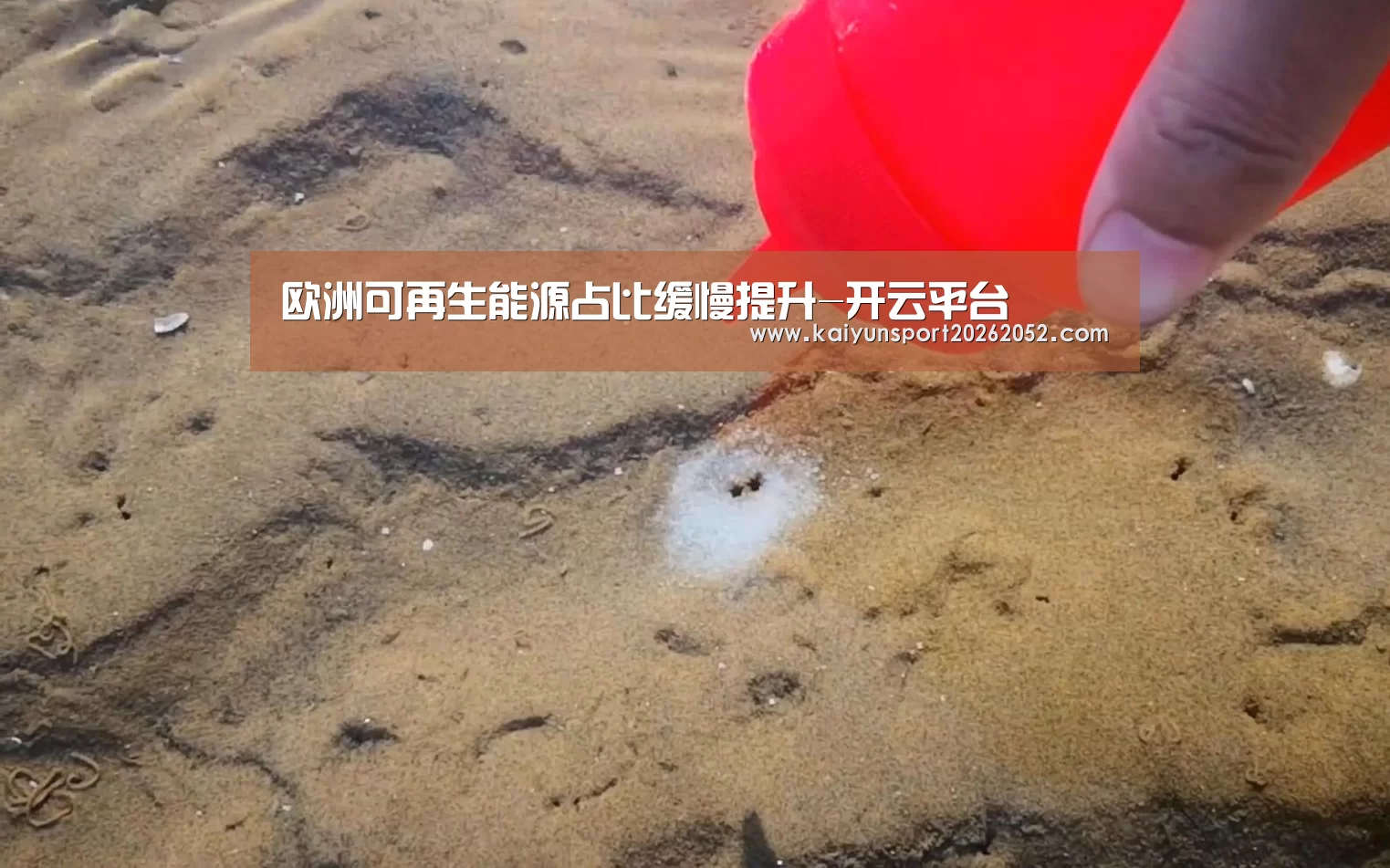 欧洲可再生能源占比缓慢提升-开云平台(图2) 开云电竞