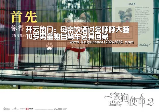 开云热门:母亲饮酒过多呼呼大睡 10岁男童独自驾车送其回家(图1) 开云热门