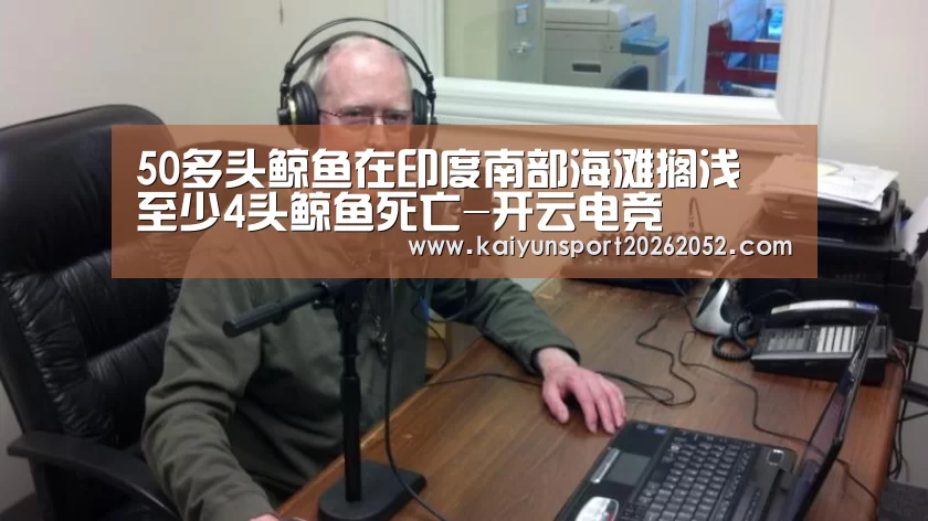 50多头鲸鱼在印度南部海滩搁浅 至少4头鲸鱼死亡-开云电竞(图2) 开云热门