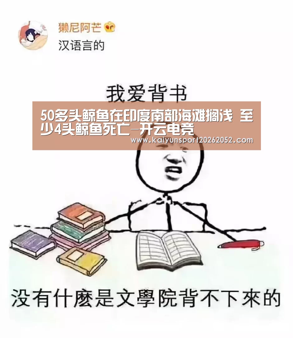50多头鲸鱼在印度南部海滩搁浅 至少4头鲸鱼死亡-开云电竞(图3) 开云平台