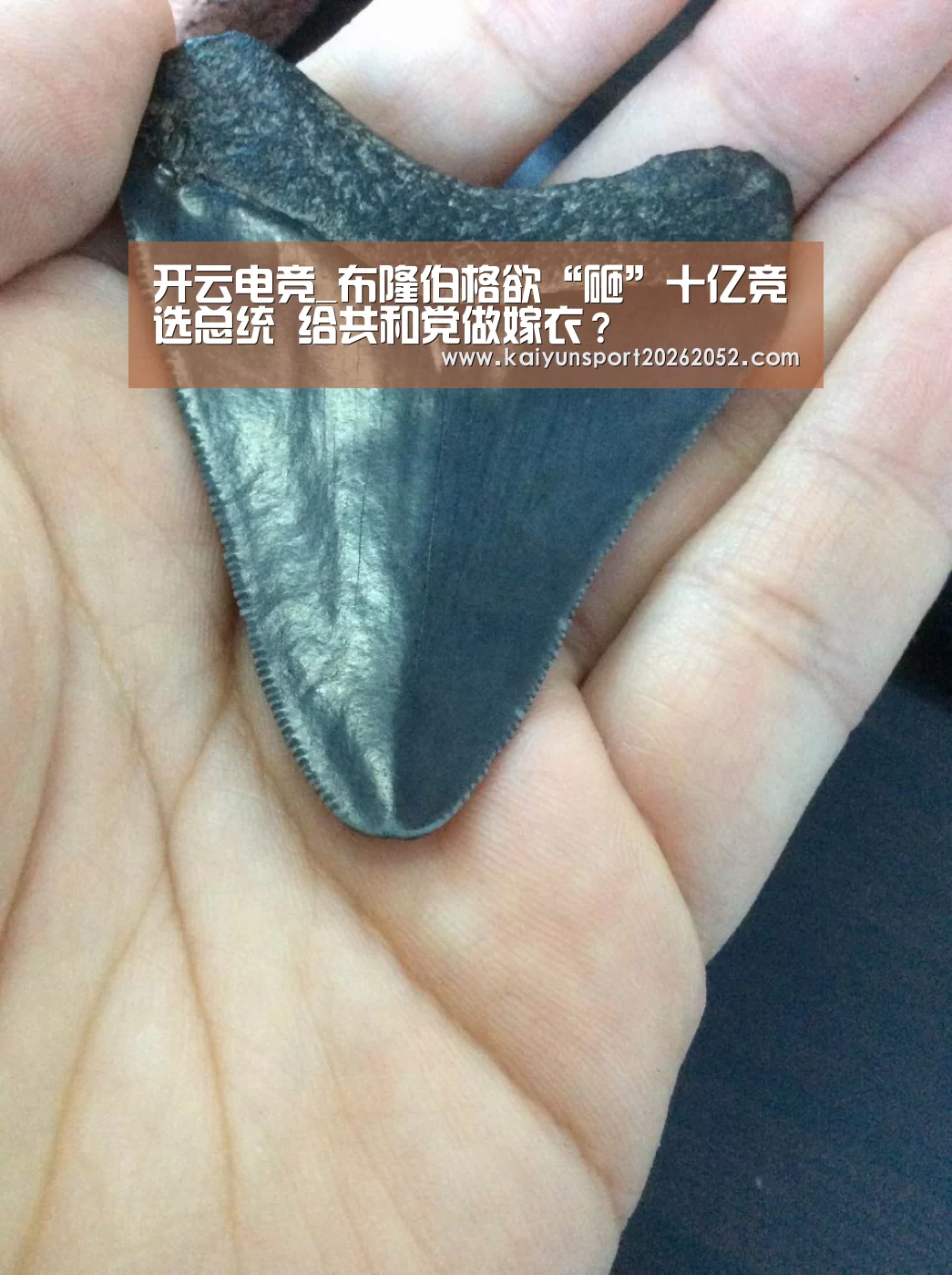 开云电竞_布隆伯格欲“砸”十亿竞选总统 给共和党做嫁衣?(图2) 开云平台